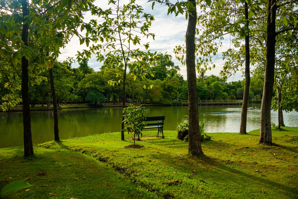 Il Parco della Piana